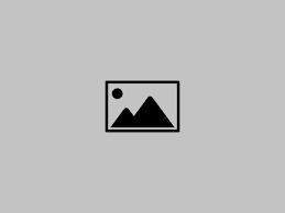 Naseh logo